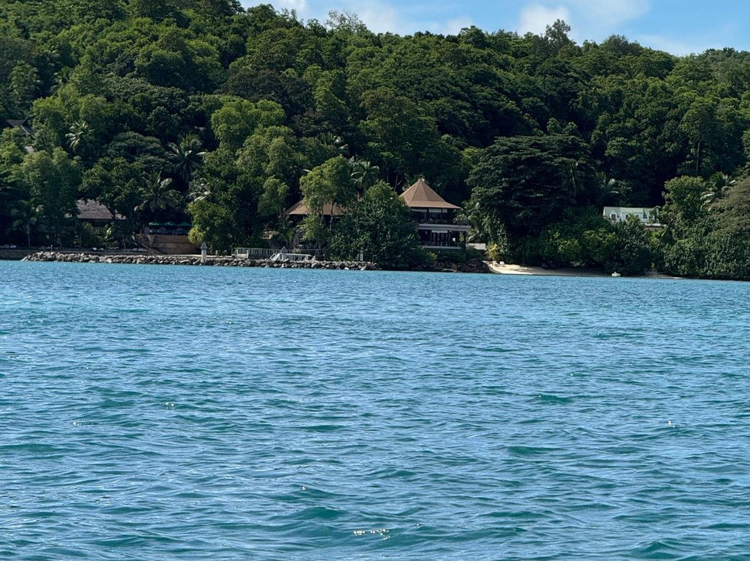 Rocco Locco Boat Charter & Tour-伊甸岛必去景点