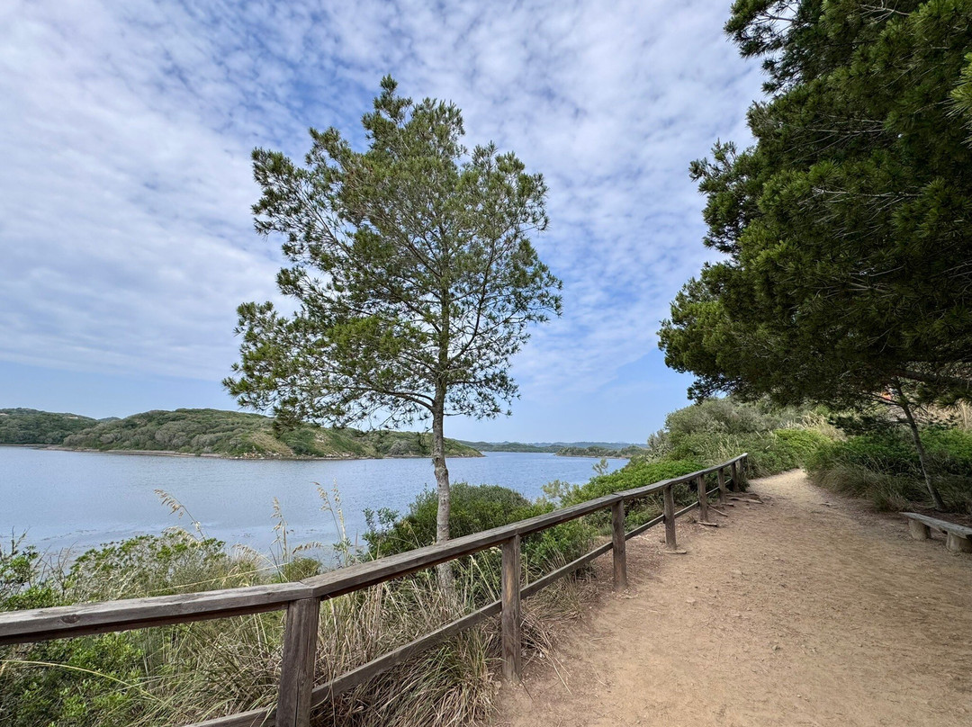 Nature Parc of S'Albufera des Grau-米诺卡必去景点