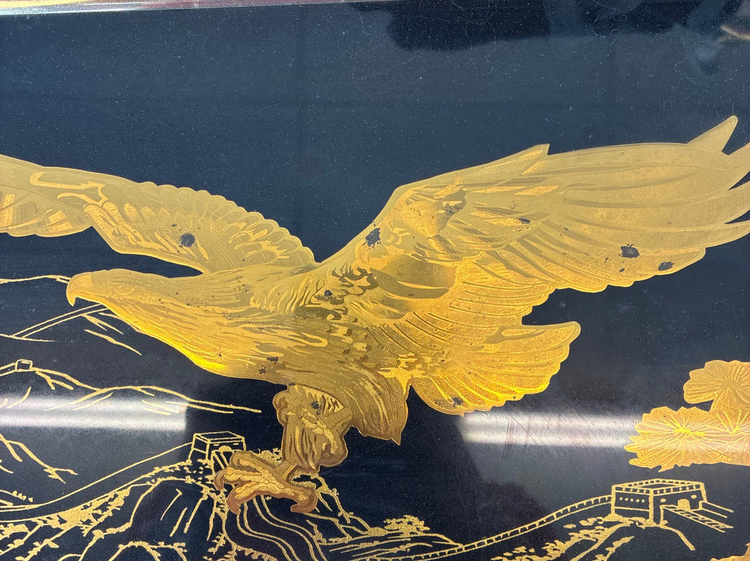 Hope Thrift Store-Dundee必去景点