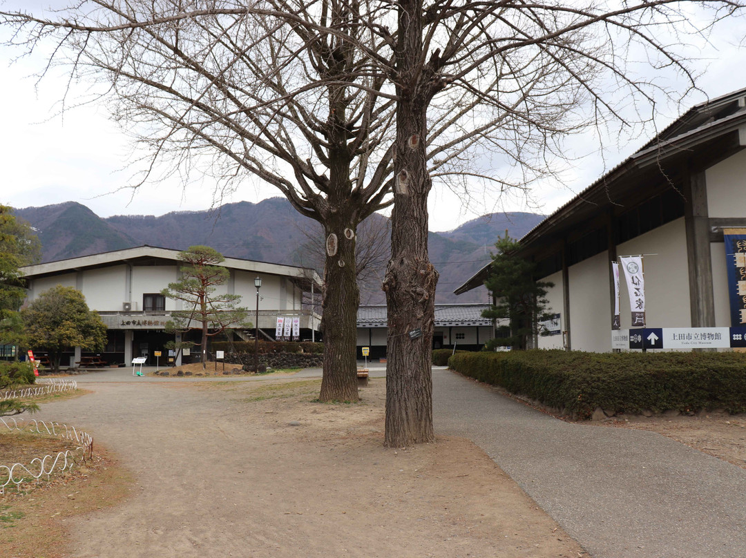 Ueda City Museum-上田市必去景点