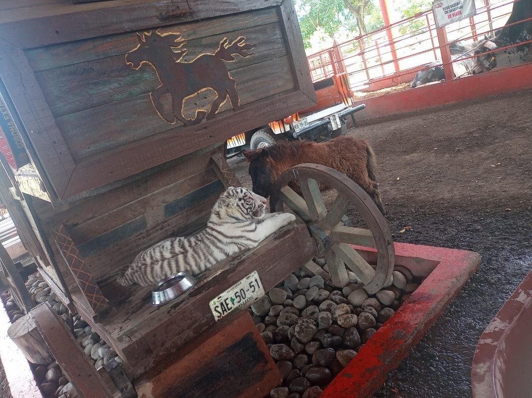 Granja Animalia-Xicotepec de Juarez必去景点