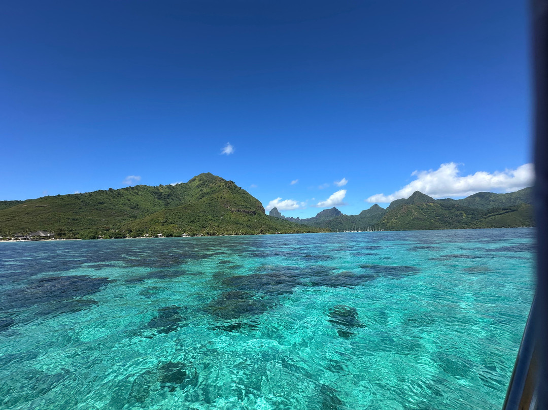 Temoana Tours-莫雷阿岛必去景点