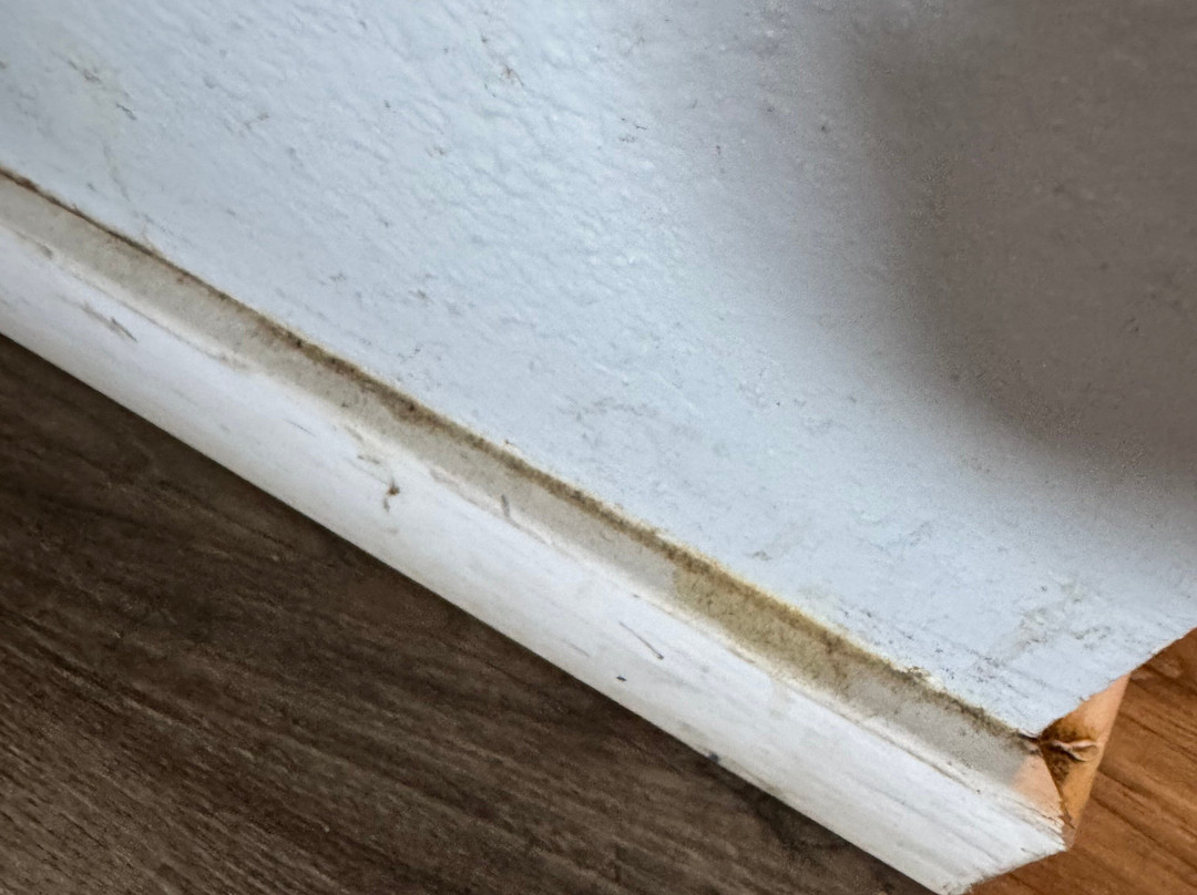 The Vegas Hotel主图