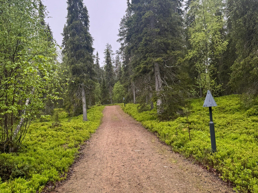 Ahvenlampi Lake-Luosto必去景点