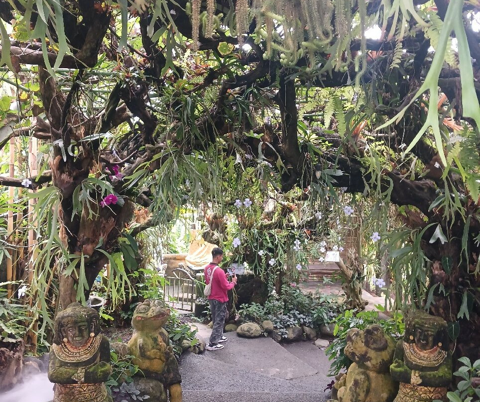 Ubud Traveltour景点图片