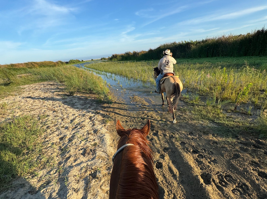 Rancho Animas-Animas Bajas必去景点