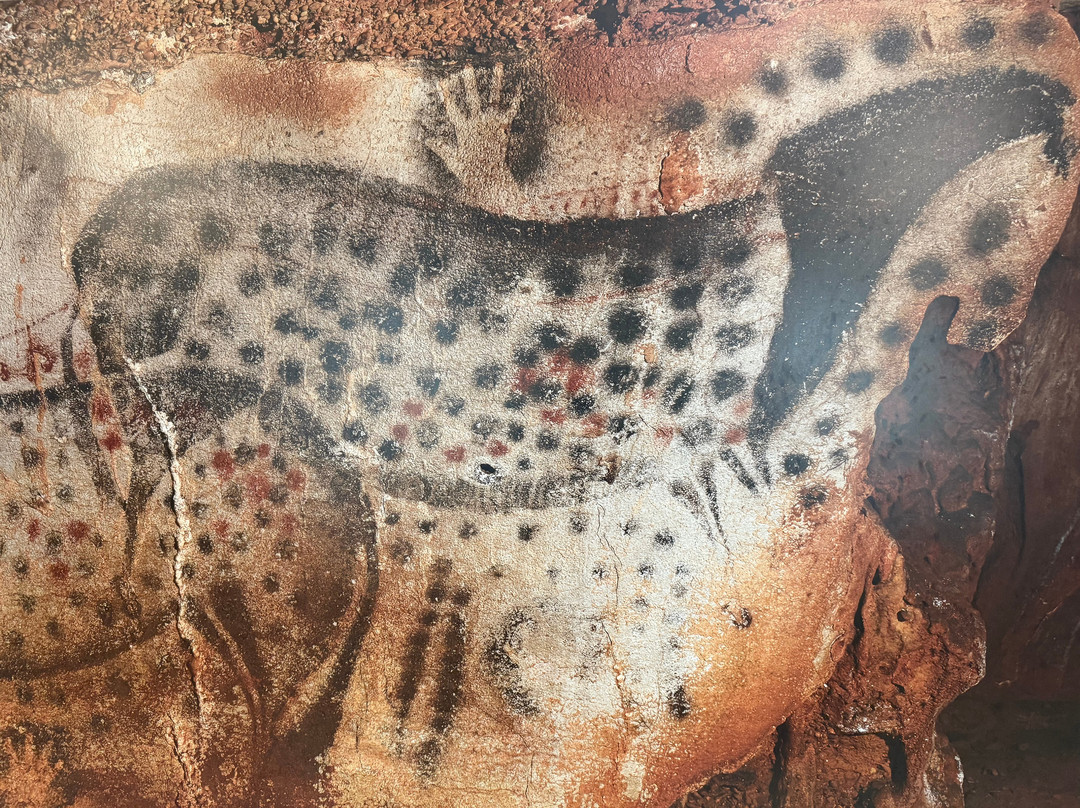 Grotte du Pech-Merle-Cabrerets必去景点