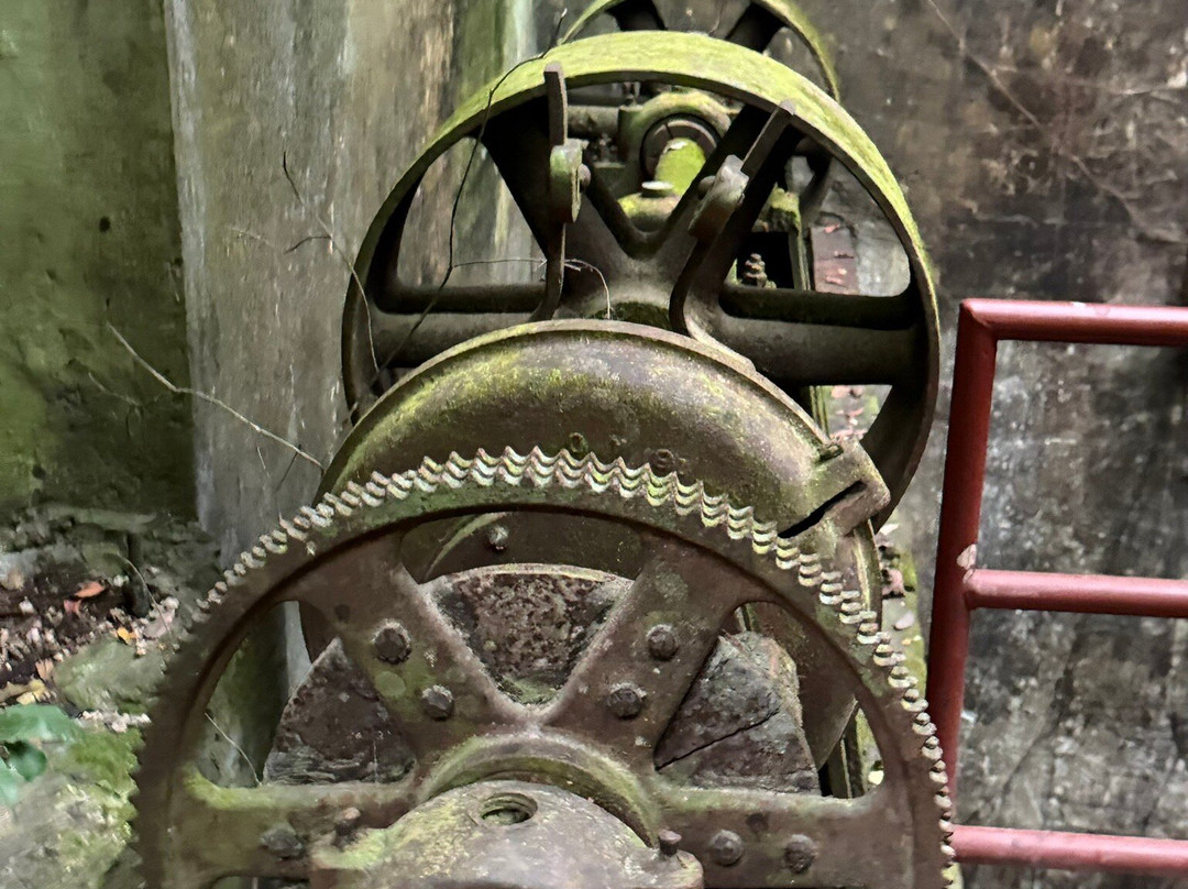 Yaaman Adventure Park-奥乔里奥斯必去景点