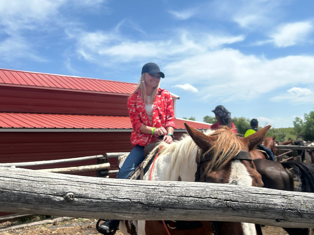 Yellowstone Horses - Eagle Ridge Ranch-艾兰帕克必去景点
