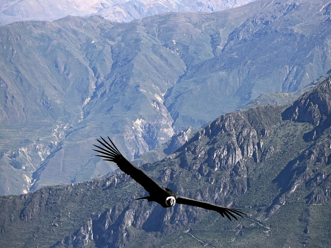 Mirador Cruz del Condor-Cabanaconde必去景点