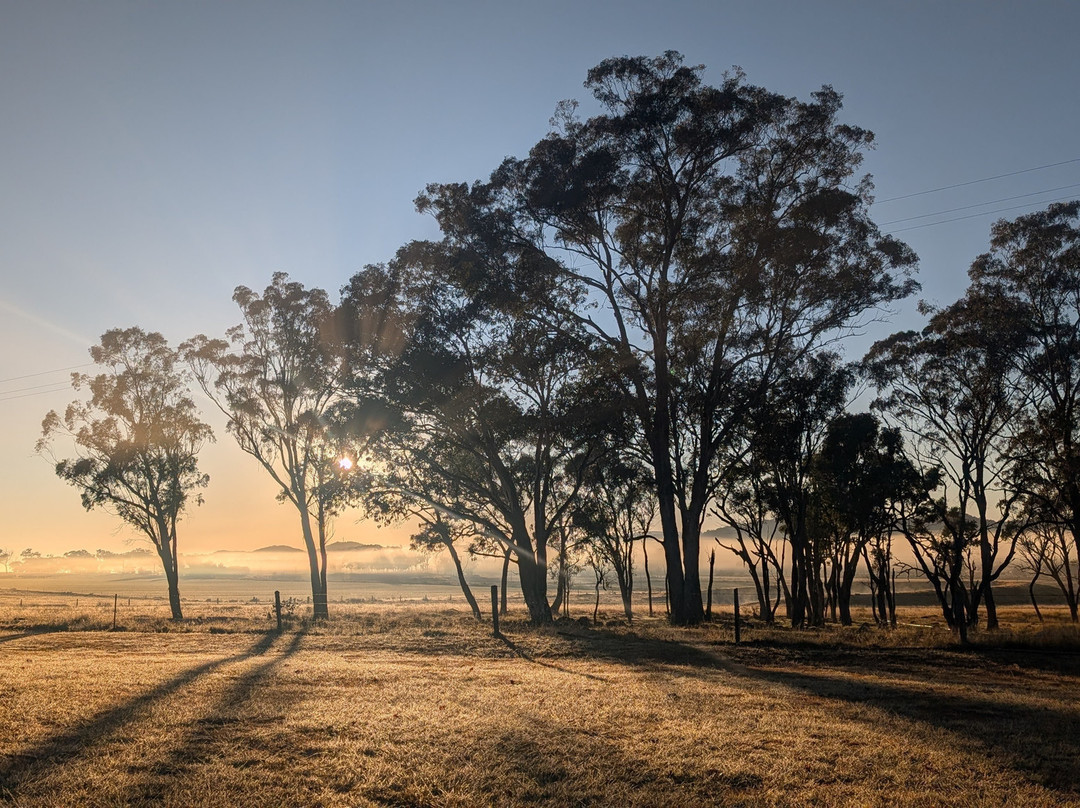 Ridgemill Estate Winery & Cellar Door-史丹霍普必去景点