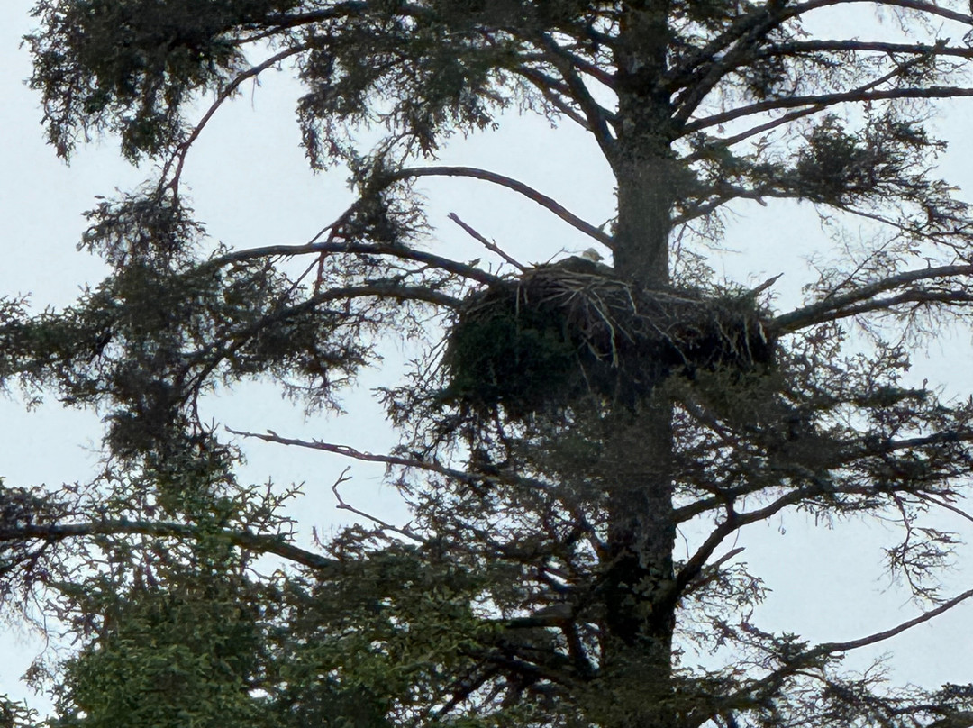 Alaska Vistas-Wrangell必去景点