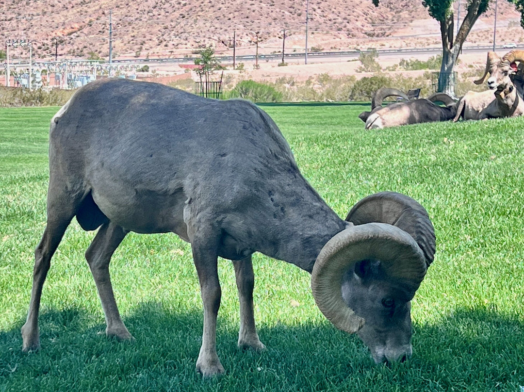 Hemenway Park-博尔德城必去景点