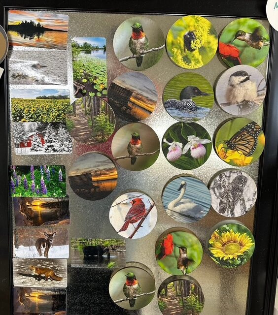 Salvage Sisters, A Repurposed Store-Baxter必去景点