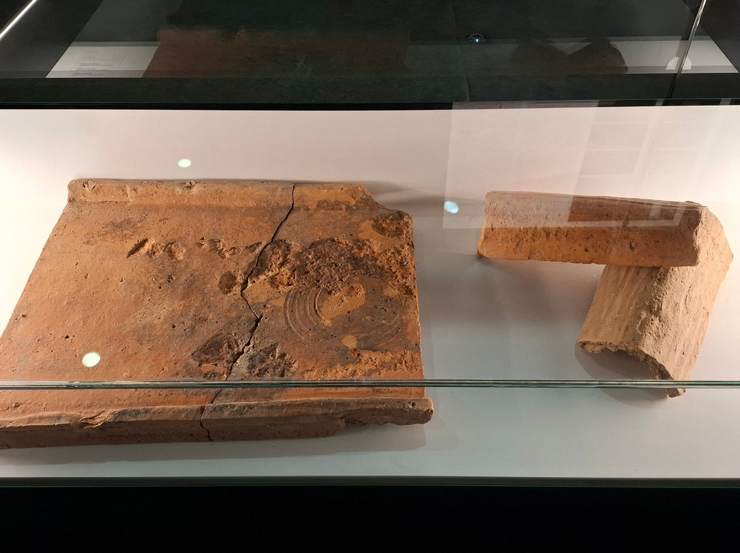 Domus del Mitreo-卢戈省必去景点