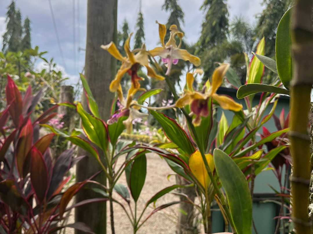Port Moresby Nature Park-莫尔兹比港必去景点