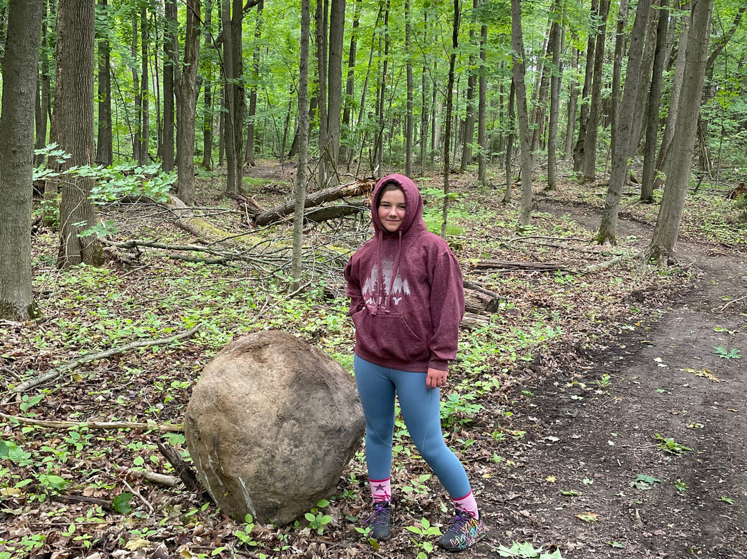 Emily Tract-Omemee必去景点