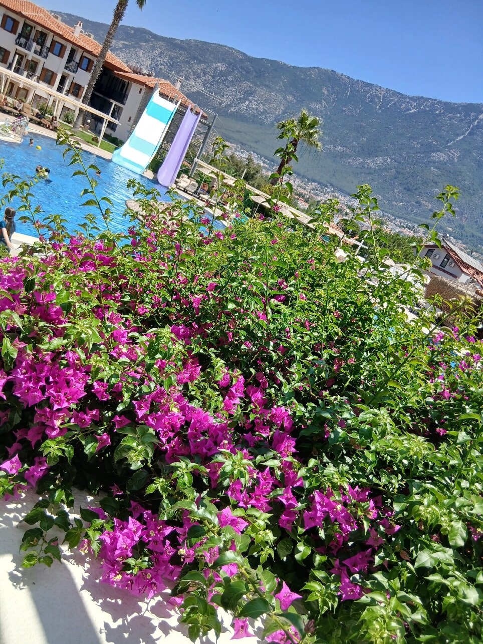 Telmessos Neva Hotel-官方