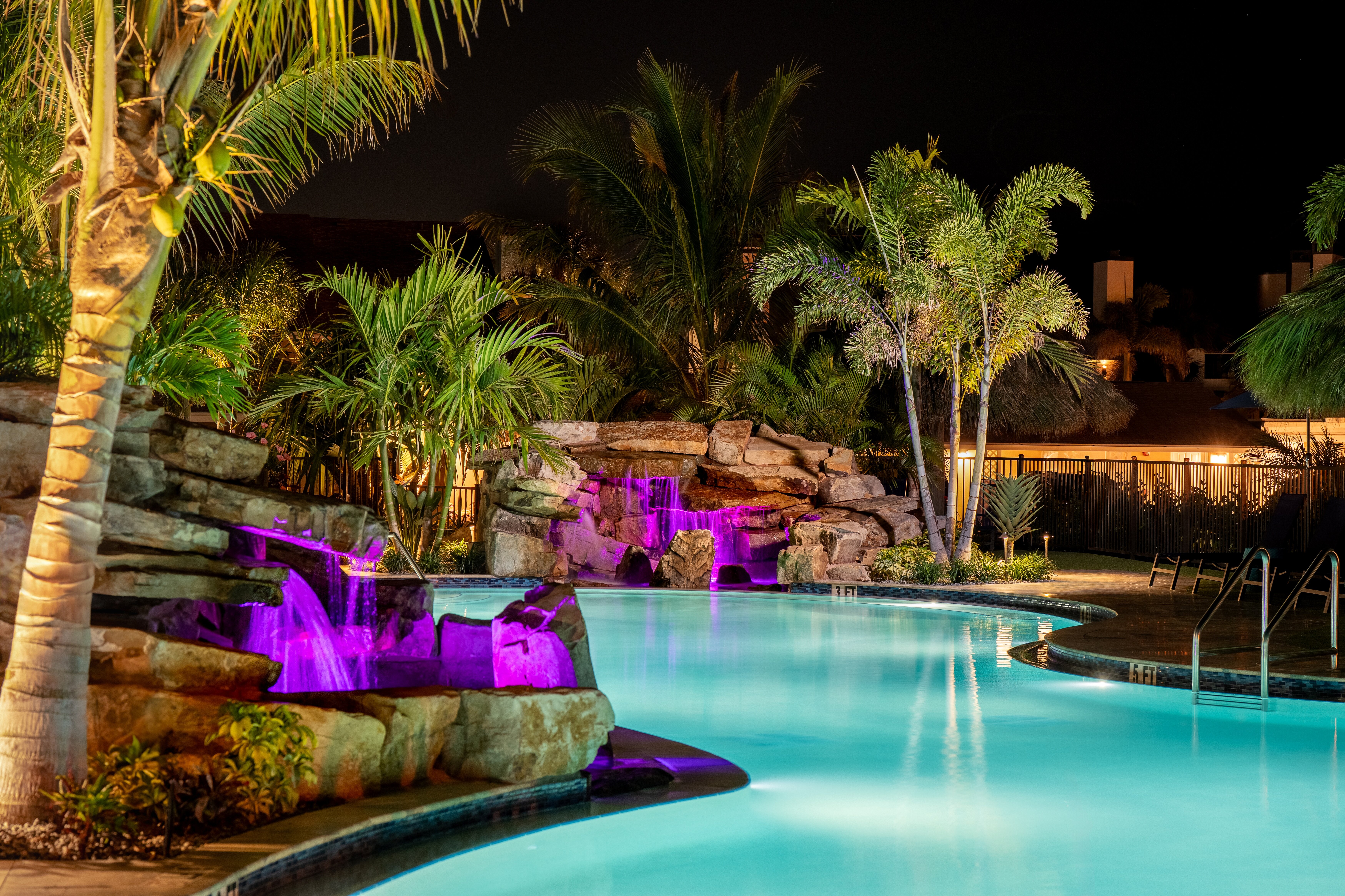 Tropical Beach Resorts - Sarasota-泳池