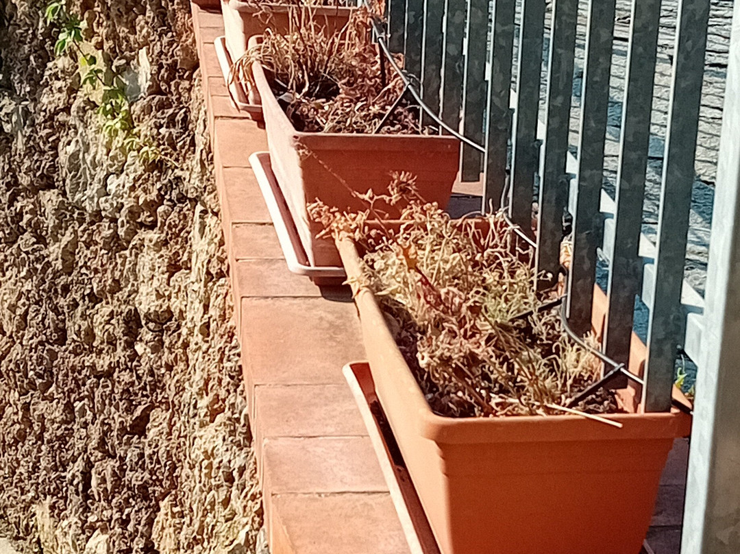 贝斯特韦斯特阿瓜诺维拉酒店主图