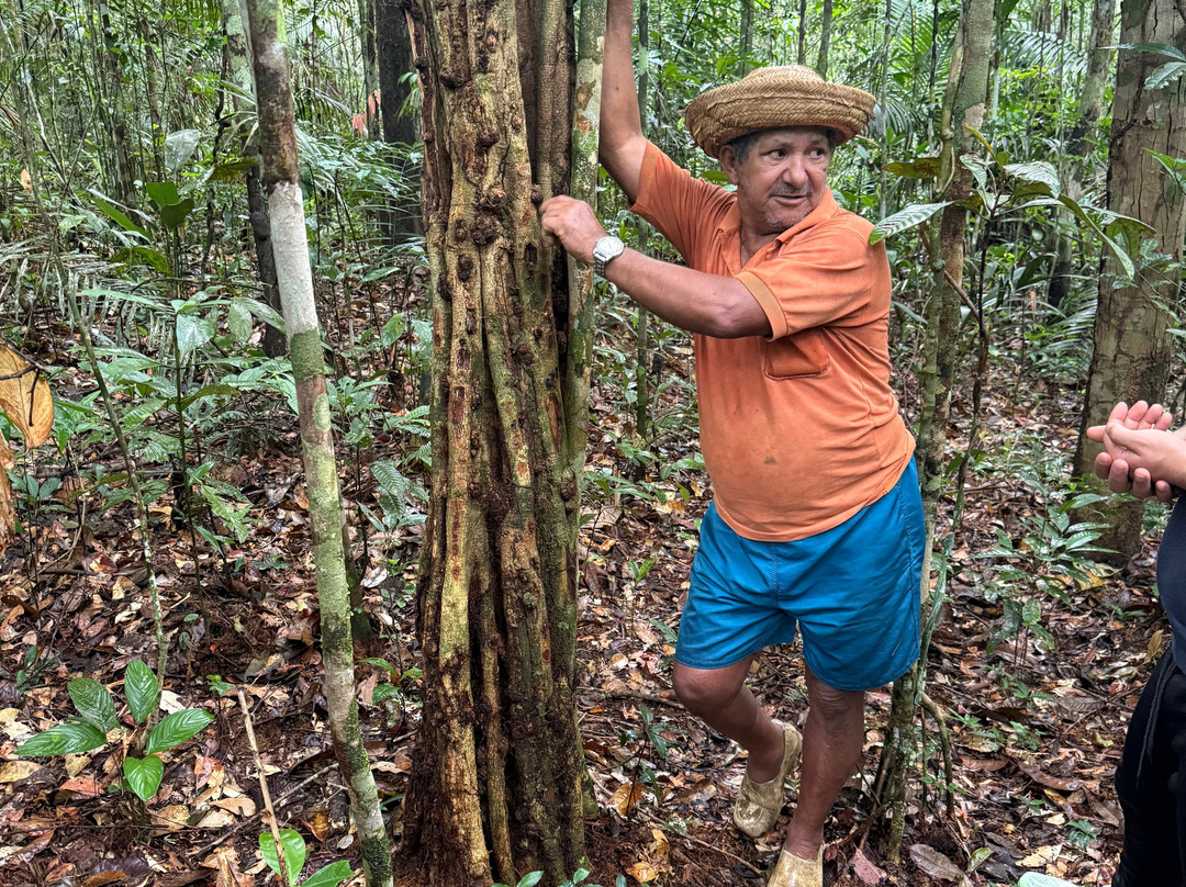 Amazon Brasil Jungle Tours-玛瑙斯必去景点