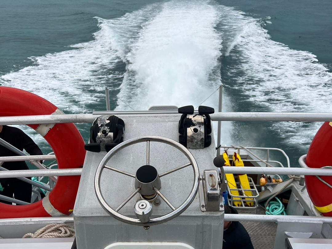 Jurien Bay Oceanic Experience-朱里恩湾必去景点