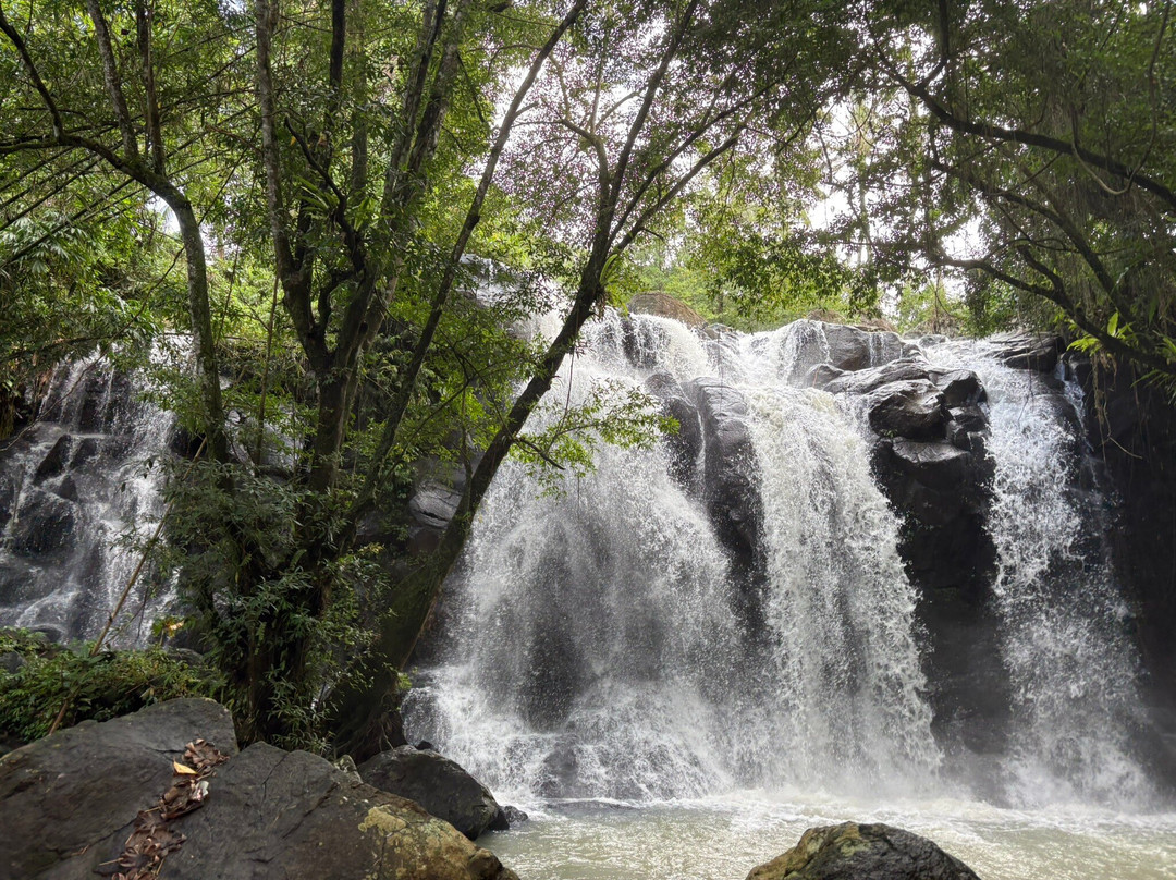 Bali Sesandan Garden主图