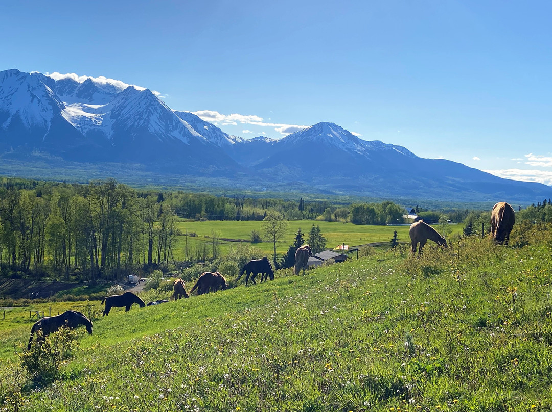 Mountain View Adventures-Smithers必去景点