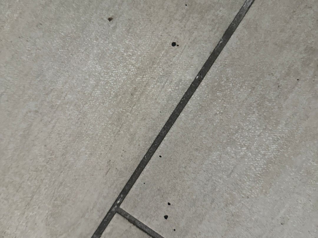 Comfort Suites Columbia主图