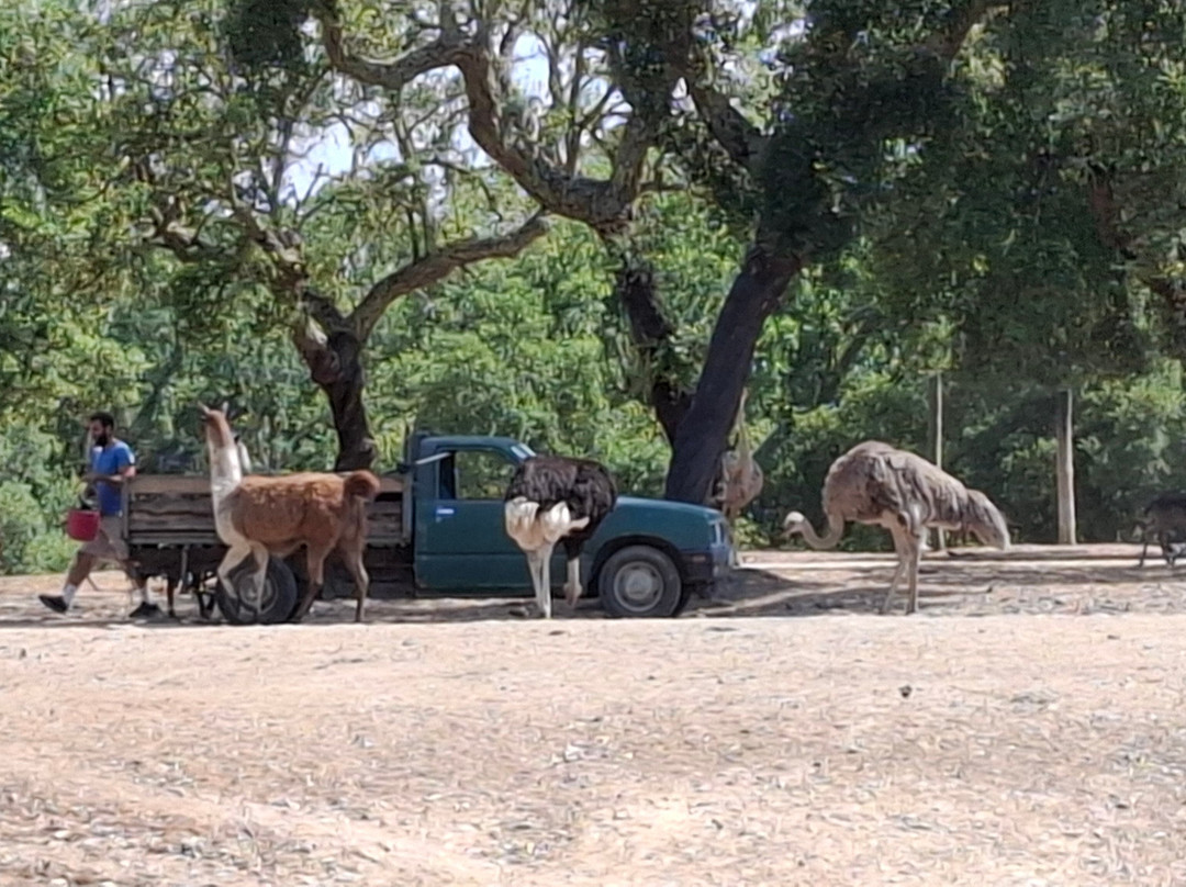 Monte Selvagem-Lavre必去景点
