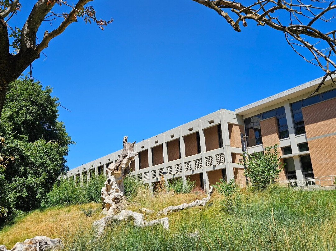 戴维斯大学植物园-戴维斯必去景点
