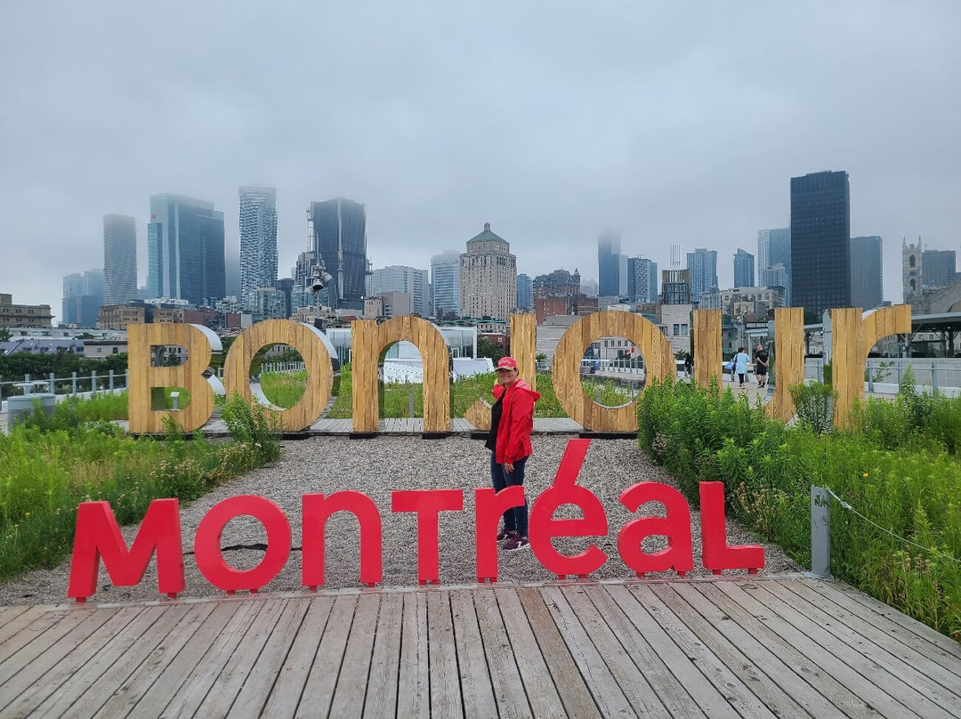 Toonie Tours Toronto-多伦多必去景点