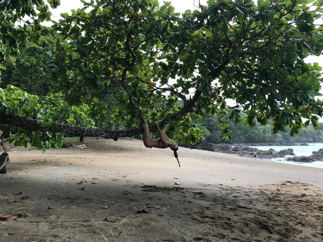 Go Corcovado-Bahia Drake必去景点