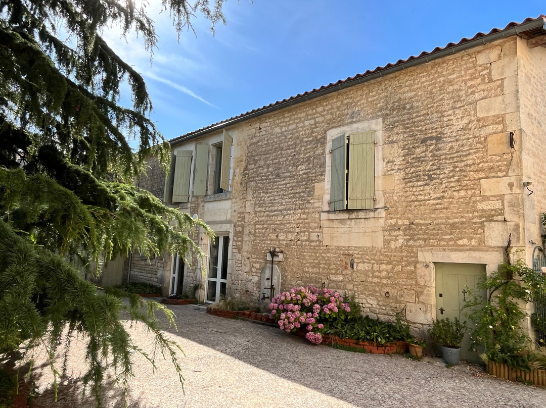 Le Rosier Sauvage主图