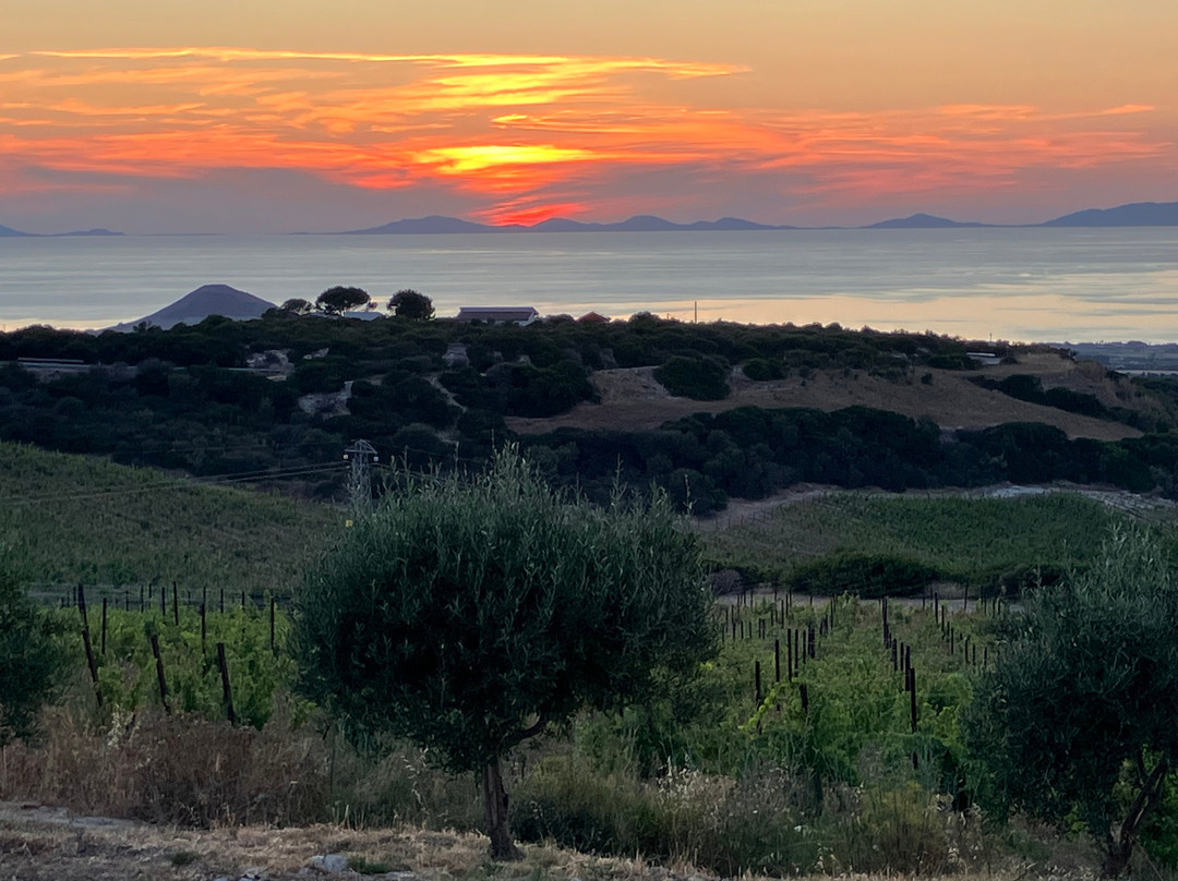 Tenute Dettori-Sennori必去景点