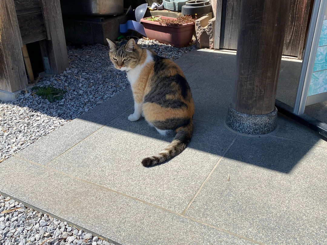 Sakitama Shrine-行田市必去景点