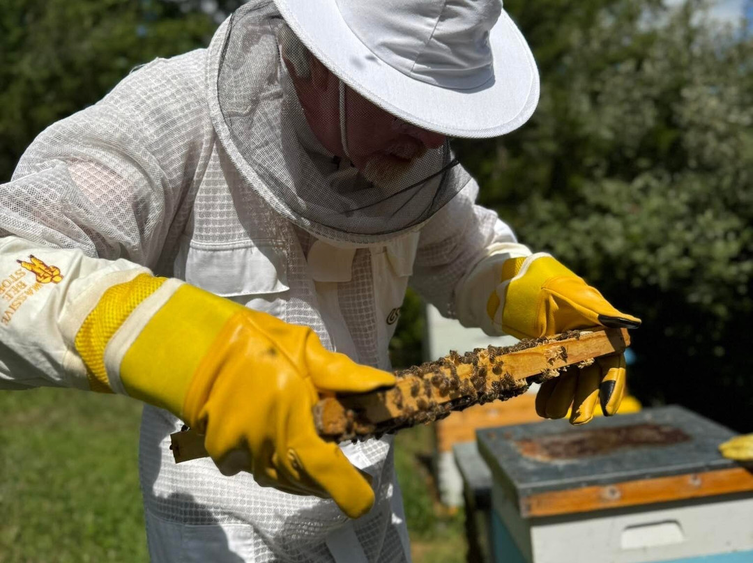 Dry Creek Beekeeping-Elizabeth必去景点