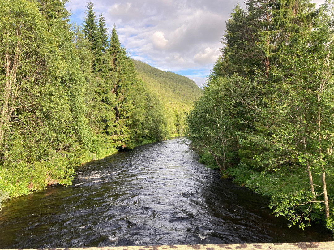 Olderskogen Natur Camp