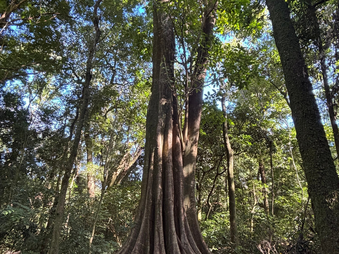 Biologa Tania Mara Netto Silva Ecological Park-Ourinhos必去景点