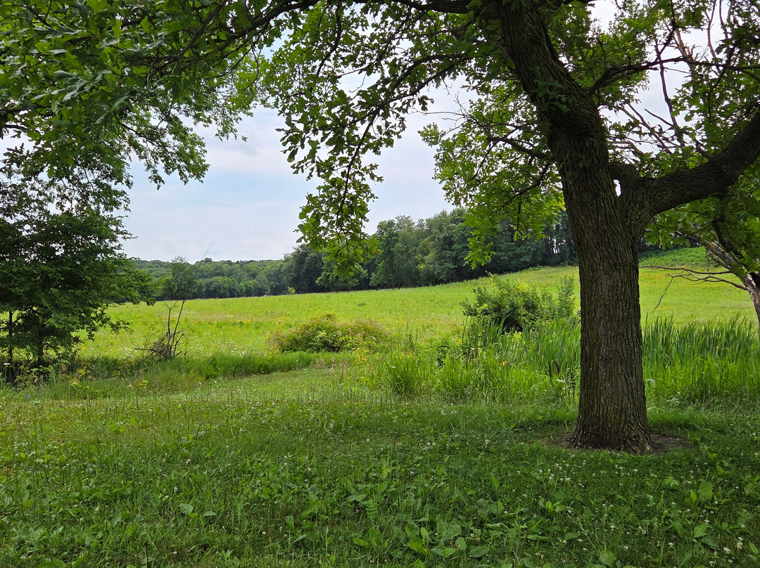 Franklin Creek Grist Mill
