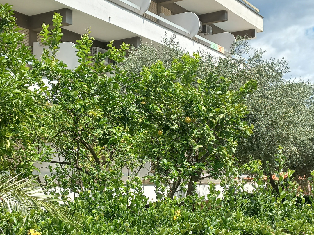 Hotel River Palace主图