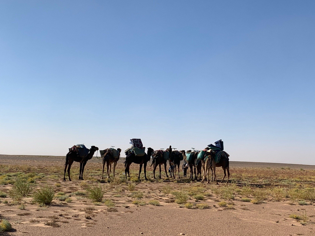 Sahara Bedouins-迈哈米德必去景点