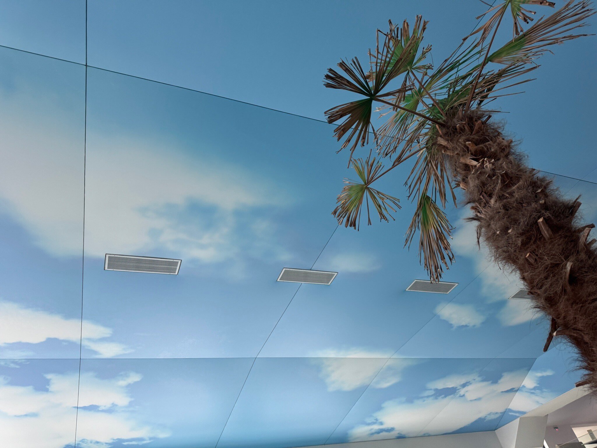 Complex Parc Pini Moinesti-官方
