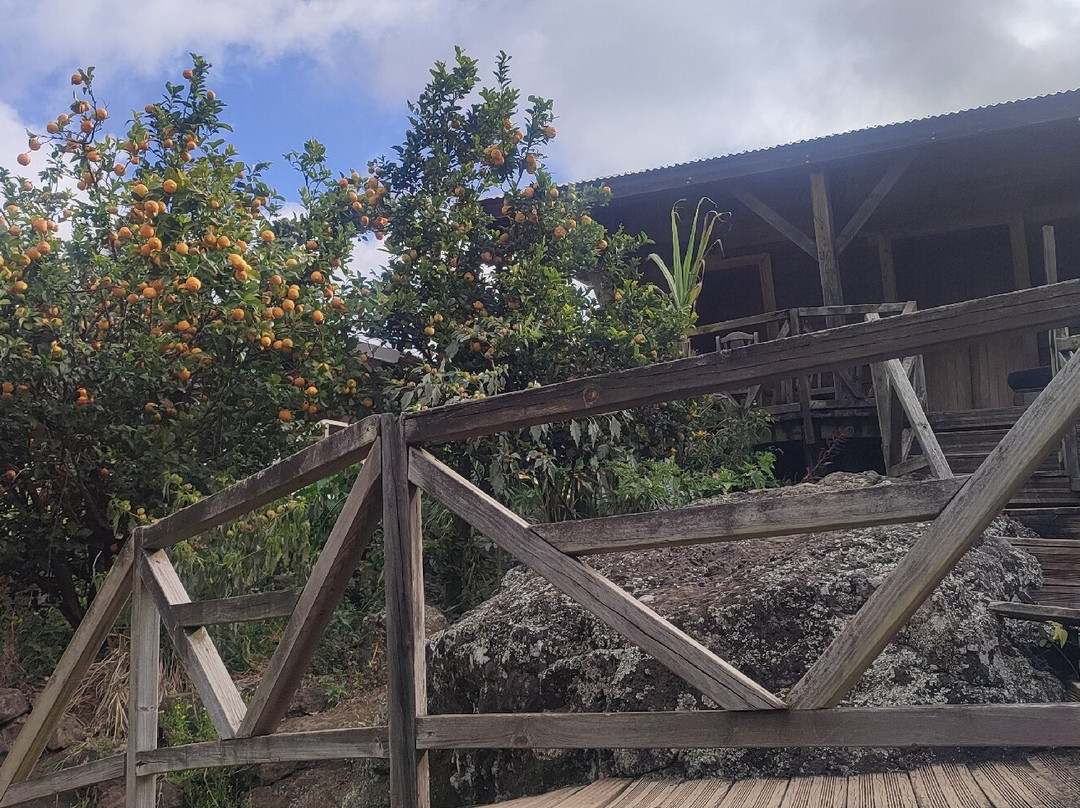 Le Bistrot des Songes主图