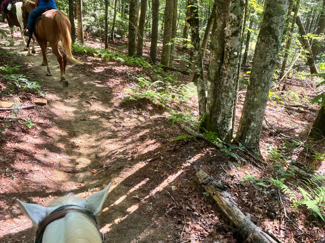Rusty Spur Trail Rides-Cedar Mountain必去景点