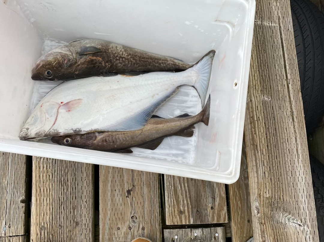 Baranof Fishing Excursions-凯奇坎必去景点