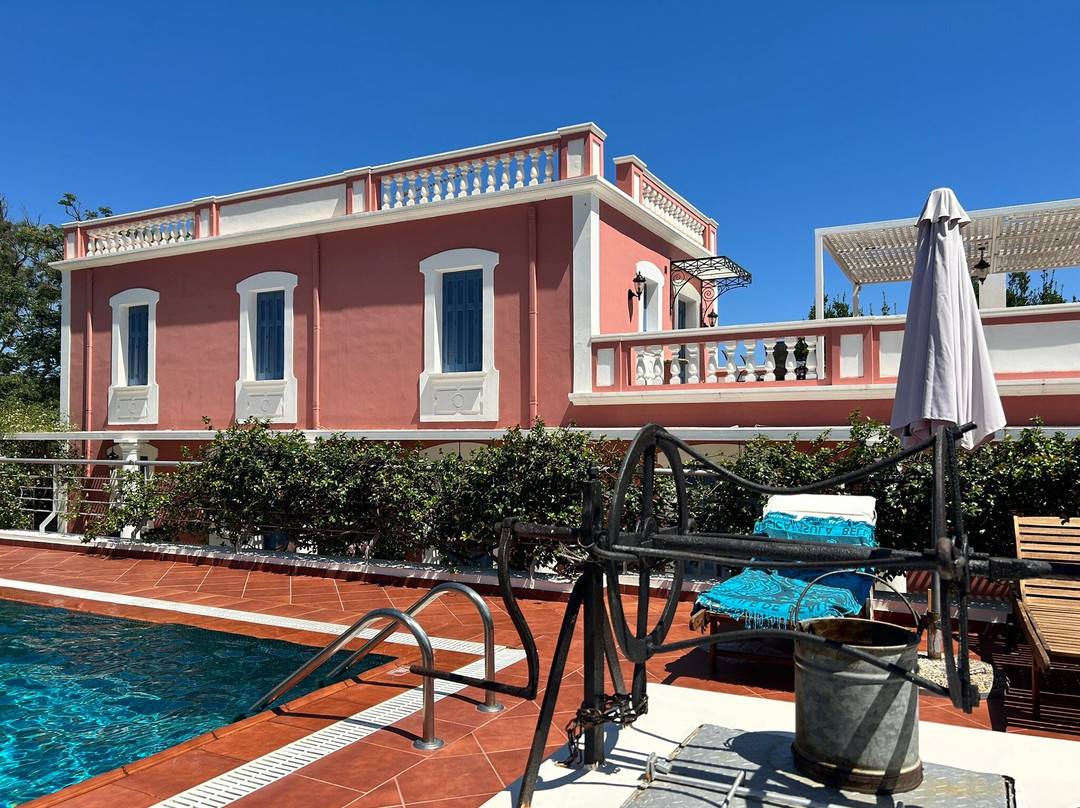 Metohi Georgila主图