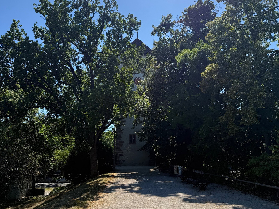 St. Johanns Tor-巴塞尔必去景点