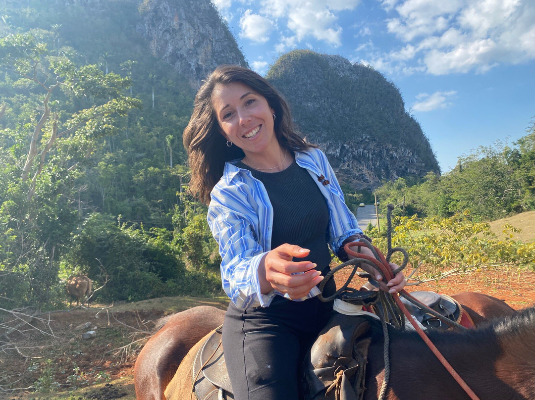 Un Paseo Por El Valle Palmarito-维纳勒斯必去景点