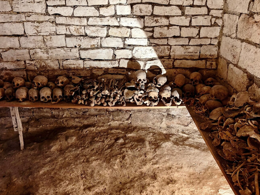 Museo Diocesano - Sezione Di Bisceglie-比谢列必去景点